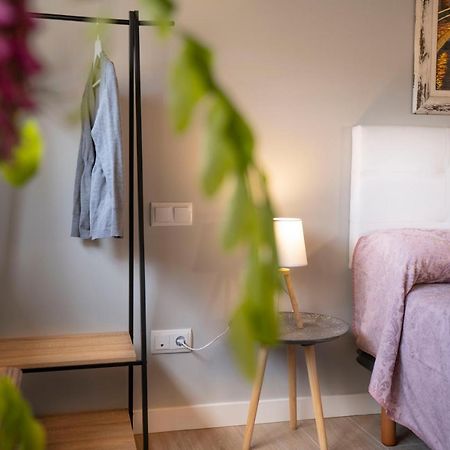 Apartamentos Terraza Ega Эстелла Экстерьер фото